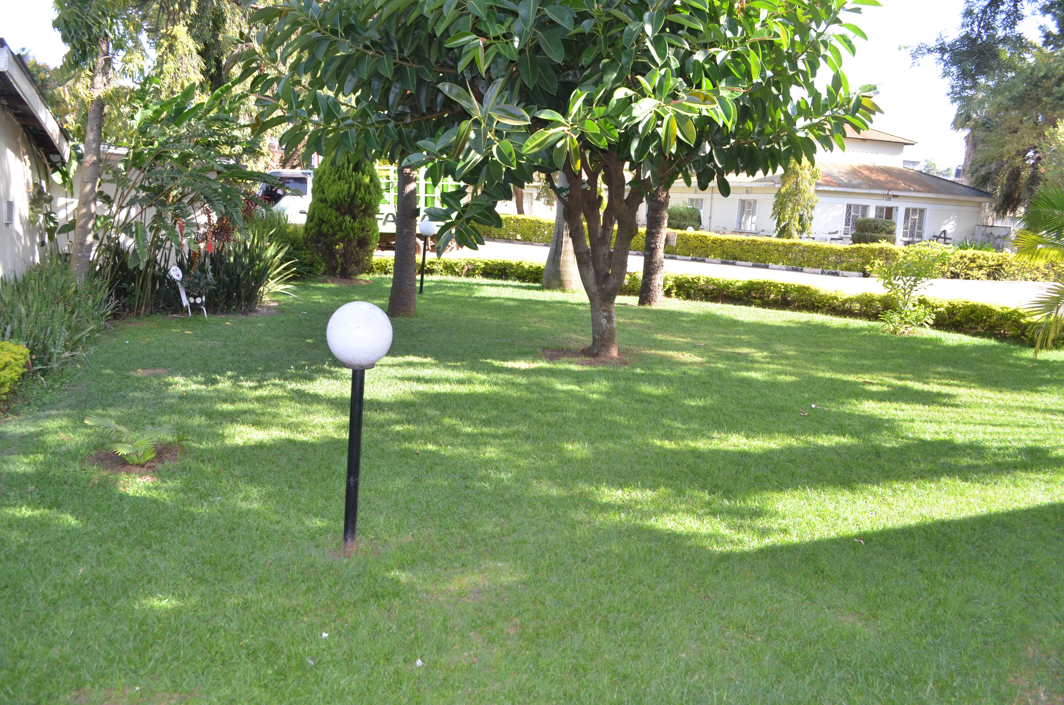 Garden At Dusk