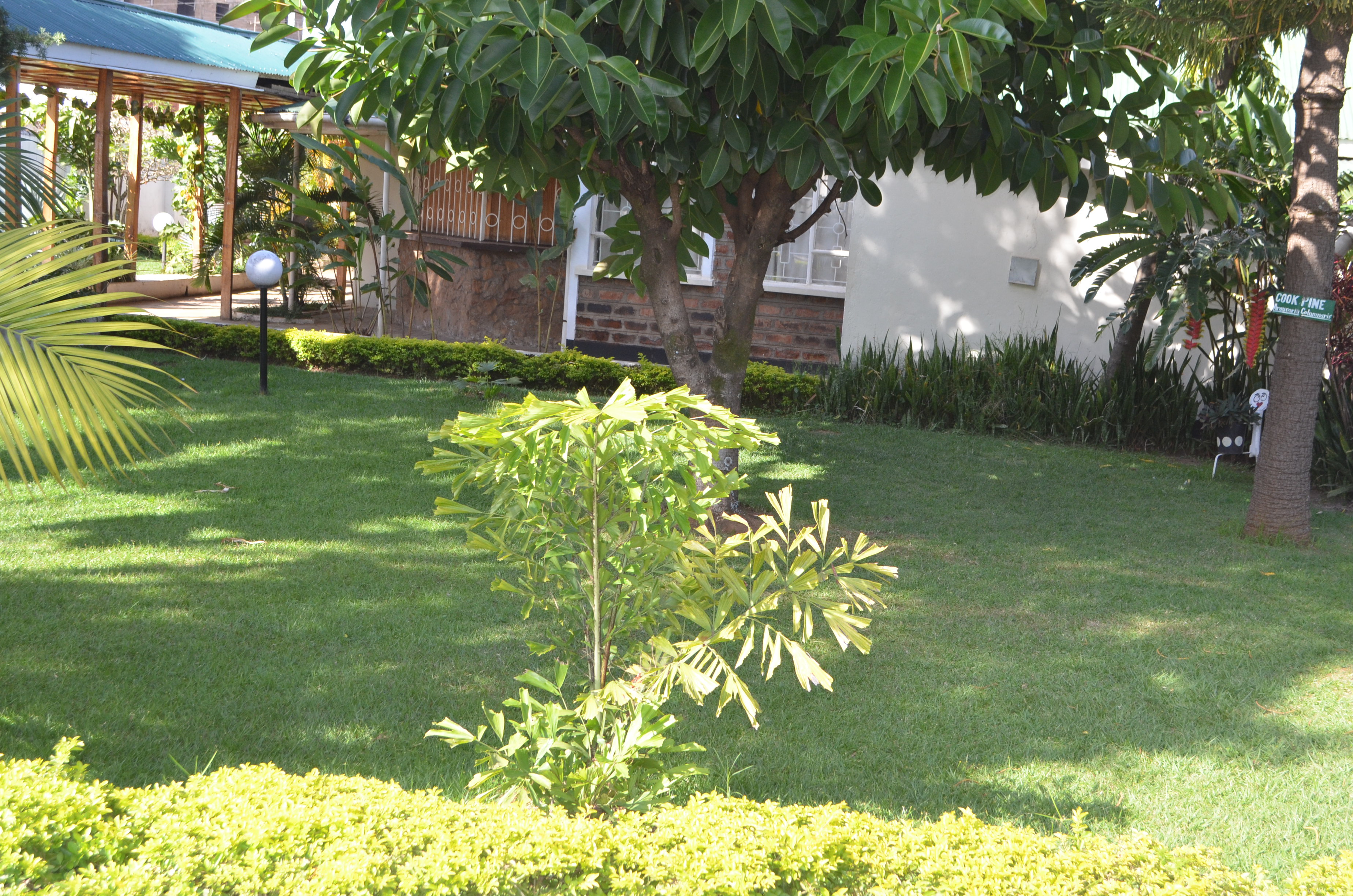 The Living Garden